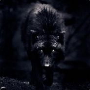 s0rben - steam id 76561197961346635