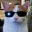 TheUnamusedPeach
