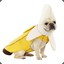 BananaPuppy-sama