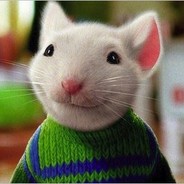 HayChicken avatar