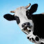 Vaca silenciosa