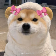 山雨欲来枫满楼