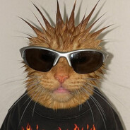 Mr Rajala's Steam avatar