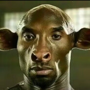 哈基米南北绿豆