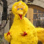 Big Bird