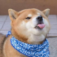 我是无敌大宝贝