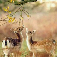 唯有你能够治愈我