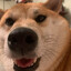 DenTheGamer