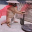 给鬼吊