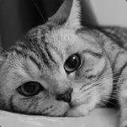 要做最咸的那条鱼