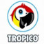 Tropico