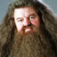 Hagrid