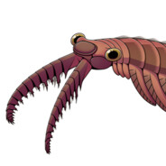 Anomalocaris