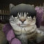toji fuchiculo