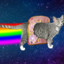 (*^ω^)Nyan cat(^ω^*)