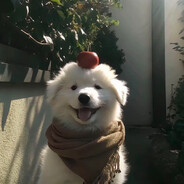 李莱德