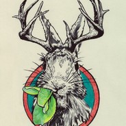 jackalope