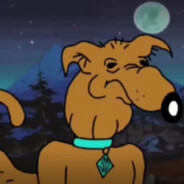 _hyCEL avatar