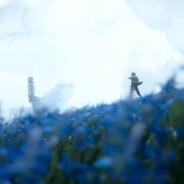 Noct