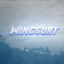 Wingsort++