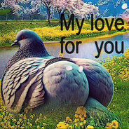 nxuru - steam id 76561199804815878