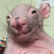 RyyniVipale avatar