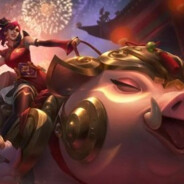 随赢对，非洲小花猪