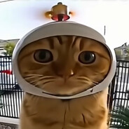 fejky cecky fejky pery