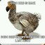 DODO_BIRD