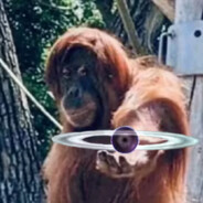 翻斗花园威猛先生-殷某