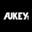 Aukey1