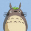 Totoro kun