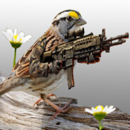 Sparrow with a machine gun