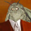 Moth_Jesus