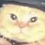 Petro