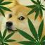 snoop doge