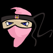 The P1nk N1nja
