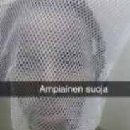 ampiainen suoja