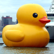 Big Duck 🦆