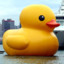 Big Duck 🦆