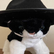 Mr.Cat