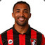 Callum Wilson