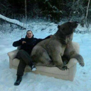 抖音王大飞(满级忍术)