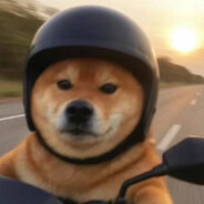 玩家头像