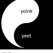the yOiNk