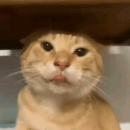 棘背龙（哈气神功大成）