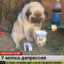 не задалось