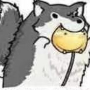 稽伯利亚大尾巴狼