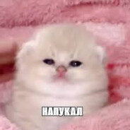 ПАСИТА 2