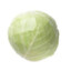 cabbage